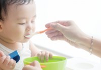 makanan sumber zat besi untuk bayi